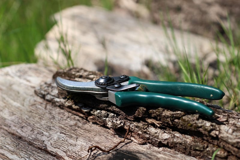 Enchanted pruning shears